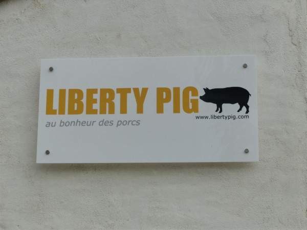Liberty pigs - 01