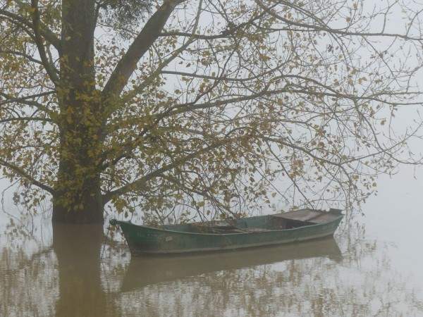 tournus-automne-rame