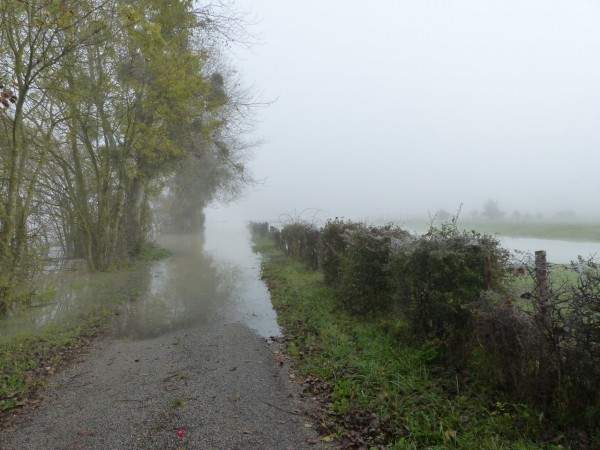 tournus-automne-rive-gauche